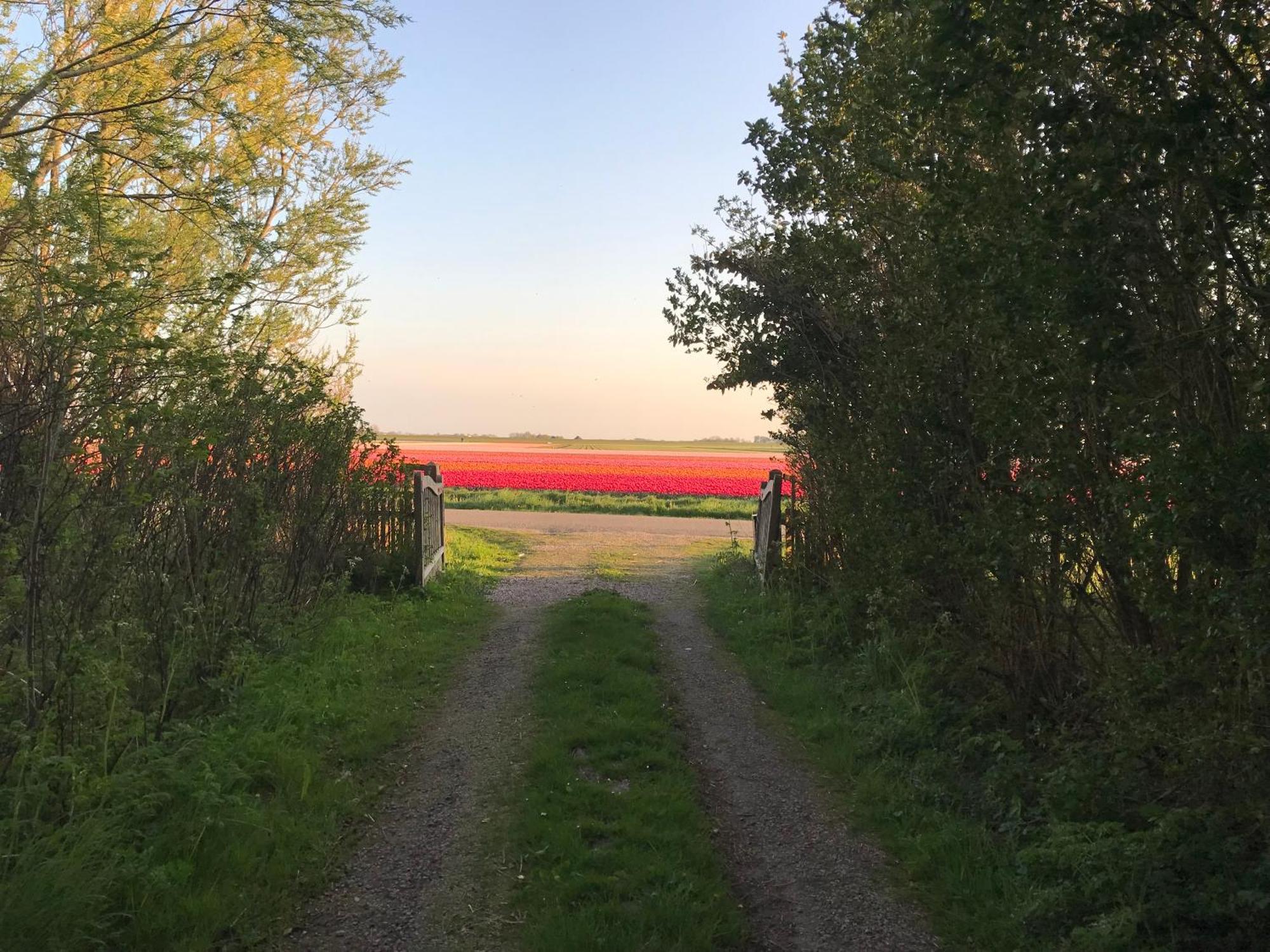 Flower Power Bed and Breakfast Anna Paulowna Esterno foto